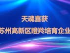 苏州天魂喜获“2019年苏州高新区瞪羚培育企业”称号